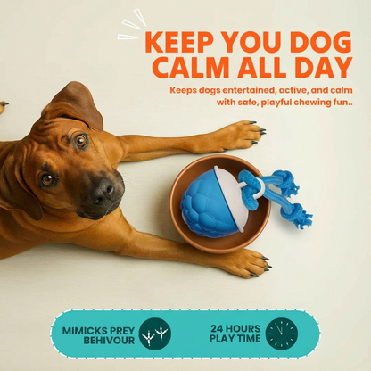 🔥2026 Limited Time Sale🔥The Pawzioo Dog Boredom Stimulating Toy