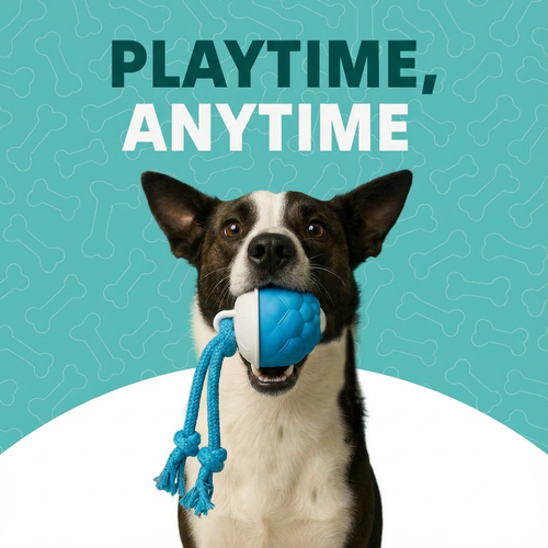 🔥2026 Limited Time Sale🔥The Pawzioo Dog Boredom Stimulating Toy